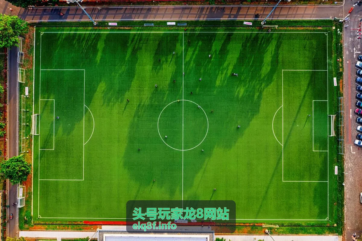 世界杯直播德国对瑞典：经典对决回顾与观赛看点